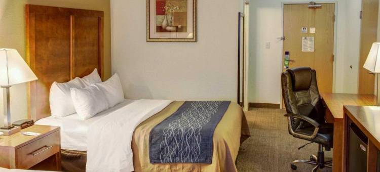北格林菲尔德舒适套房酒店(Comfort Inn & Suites North Greenfield)图片