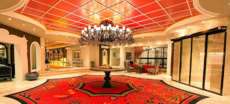橄榄树酒店(The Olive Tree Hotel)图片