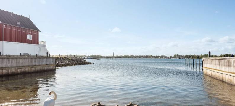 "Joar" - 5m to the Fjord图片