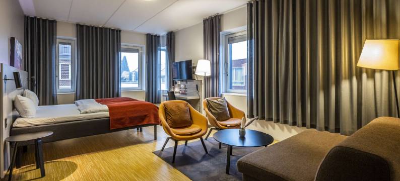 斯堪奥胡斯城市酒店(Scandic Aarhus City)图片