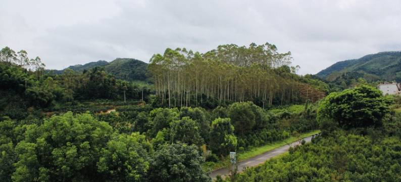 张浮玉特色民宿图片