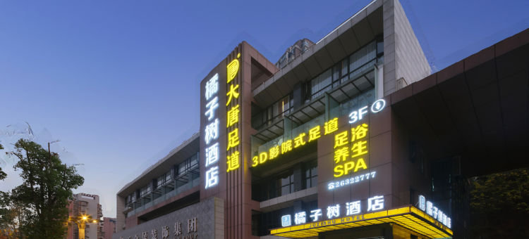 橘子树酒店(资阳万达广场店)图片