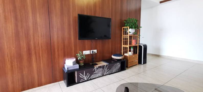 陋室主人公寓(新桥路分店)图片