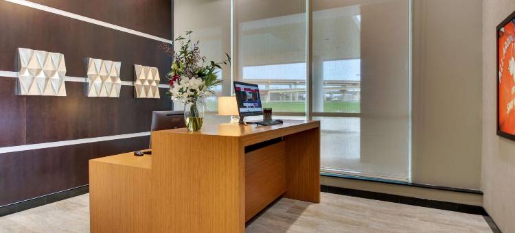 达拉斯理查森德鲁里广场酒店(Drury Plaza Hotel Dallas Richardson)图片