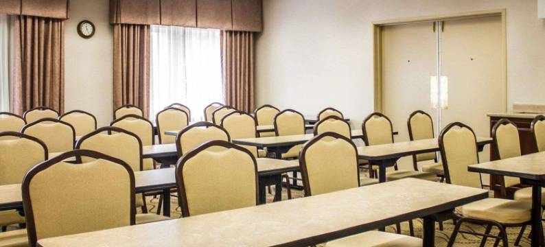 舒适套房酒店(Comfort Inn & Suites)图片