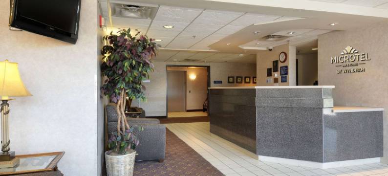 布卢明顿MSP机场麦客达温德姆酒店(Microtel Inn & Suites by Wyndham Bloomington MSP Airport)图片