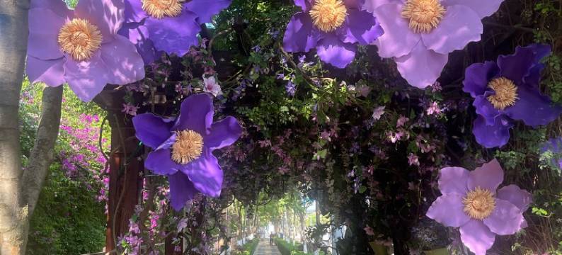 昆明花海民宿图片