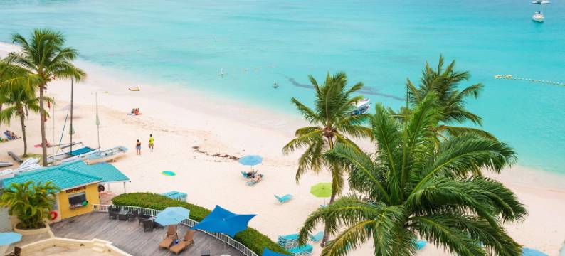 巴巴多斯丽笙水岸度假村(Radisson Aquatica Resort Barbados)图片