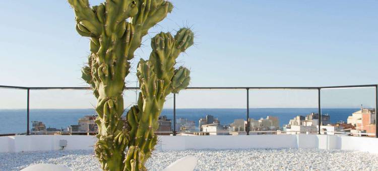 喜悦广场巴黎酒店(Alegria Plaza Paris)图片