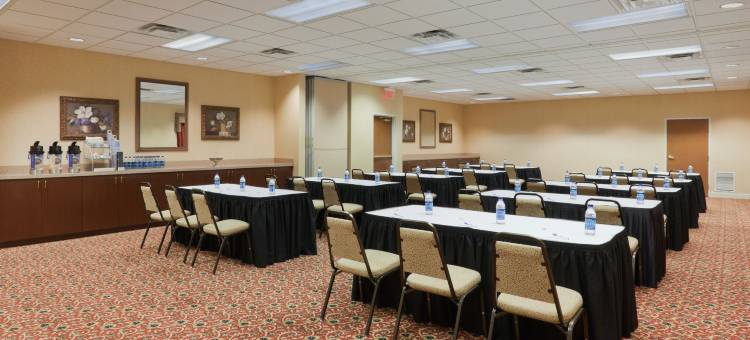 智选假日套房酒店奥本 - 大学区(Holiday Inn Express & Suites Auburn - University Area)图片