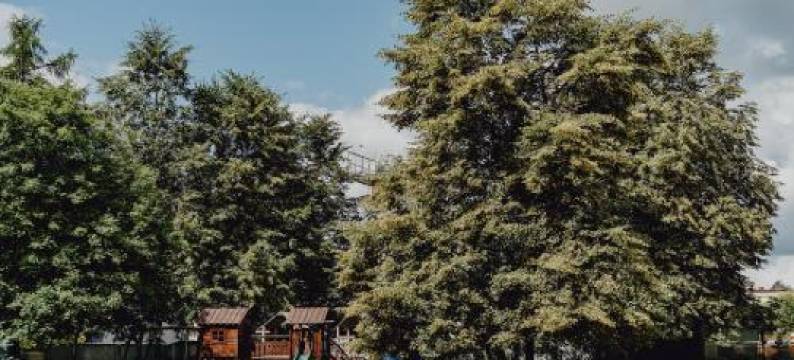 莱斯尼酒店(Hotel Leśny)图片