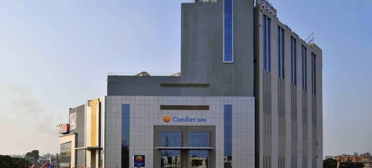 郁金香高地舒适酒店(Comfort Inn Tulip Heights)图片
