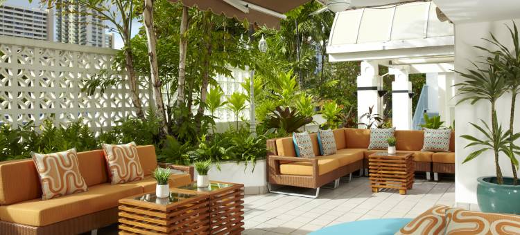 威基基绿洲酒店(Oasis Hotel Waikiki)图片