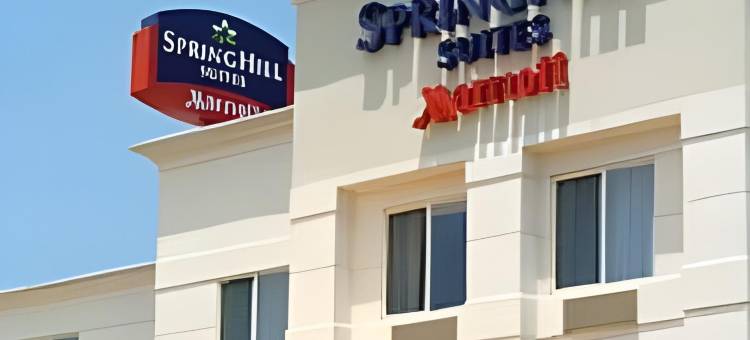 巴吞鲁日南万豪SpringHill酒店(SpringHill Suites Baton Rouge South)图片