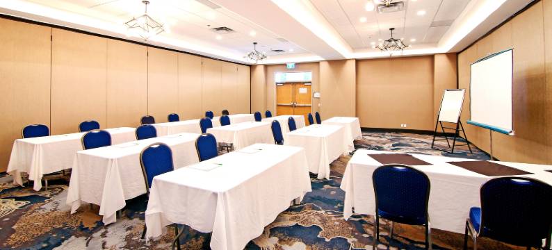 卡尔加里机场北假日酒店及套房(Holiday Inn & Suites CALGARY AIRPORT NORTH by IHG)图片