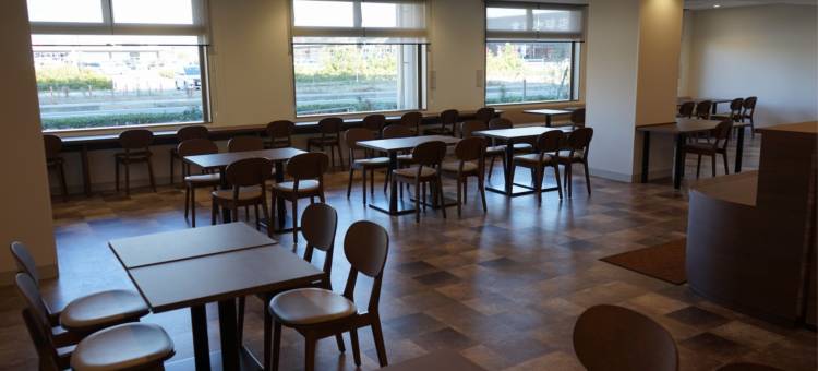 新盖亚西熊本站前酒店(Hotel New Gaea Nishi Kumamoto Ekimae)图片
