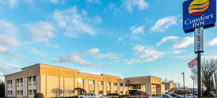 梅德福长岛舒适酒店(Comfort Inn Medford-Long Island)图片