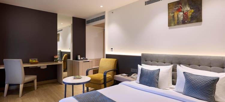 得利特萨罗瓦尔波蒂科法里达巴德(Delite Sarovar Portico Faridabad)图片