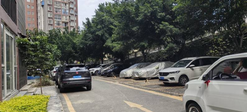 有斗志的老虎公寓(天津路分店)图片