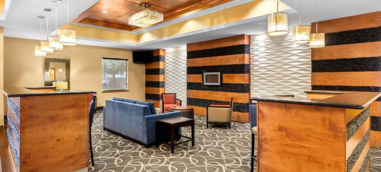 卡蒂舒适套房酒店(Comfort Suites at Katy Mills)图片