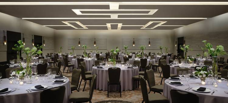 圣安东尼奥·河畔步道圣托金普顿酒店(洲际集团)(Kimpton Santo San Antonio - Riverwalk by IHG)图片