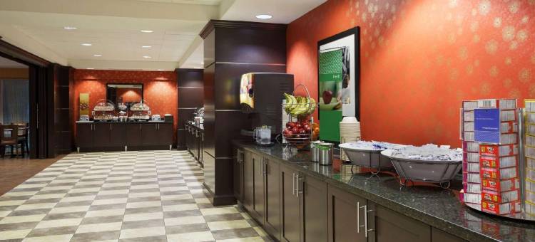 休斯顿希尔顿欢朋酒店-近购物中心(Hampton Inn Houston-Near the Galleria)图片