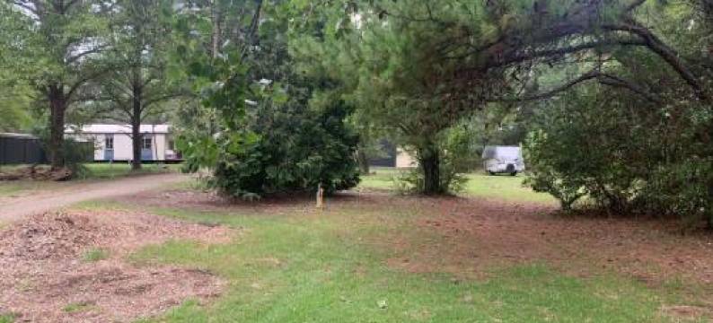 Blue Sapphire Pet Friendly Studio图片