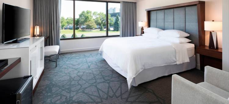 布卢明顿喜来登酒店(Sheraton Bloomington Hotel)图片