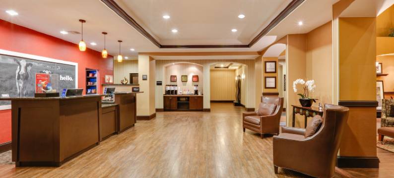 希尔顿欢朋套房酒店-沃斯堡/弗里斯特丘(Hampton Inn & Suites Fort Worth/Forest Hill)图片