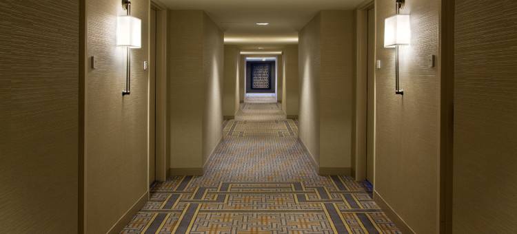 奥克布鲁克芝加哥希尔顿逸林酒店(DoubleTree by Hilton Chicago - Oak Brook)图片
