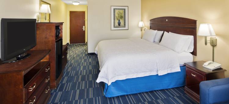 希尔顿欢朋酒店-海恩斯维尔(Hampton Inn Hinesville)图片