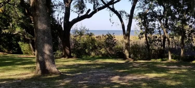 远离尘嚣、可携带宠物、带围栏庭院、无楼梯的乡村民宿!!!(Get Away from it All! Pet Friendly. Fenced Yard. No Stairs!)图片