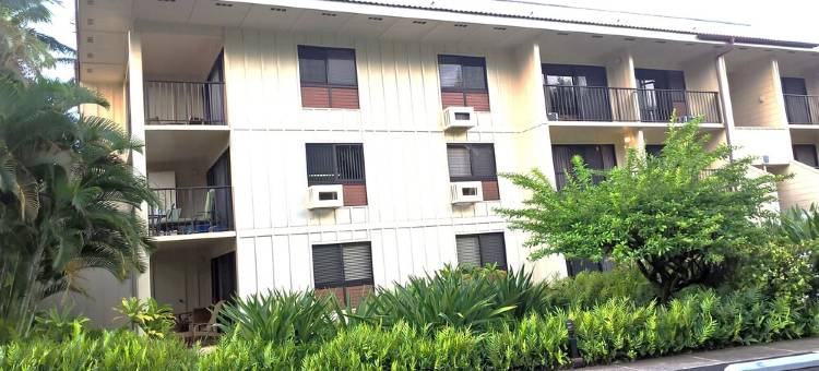 Over 350 Avg 5.0 Star Reviews Say It all! This Is The Best Deal On Kauai图片