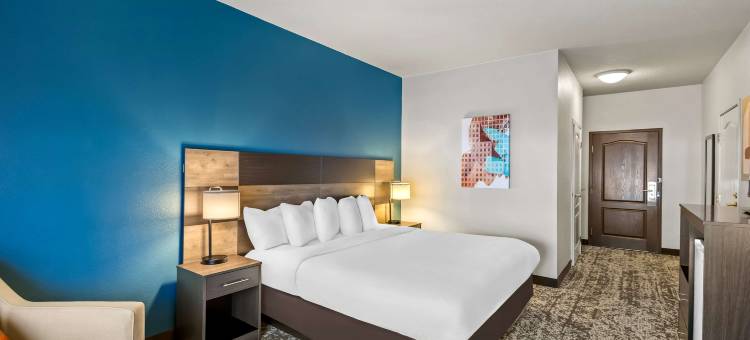 韦恩堡北部贝斯特韦斯特优质套房酒店(Best Western Plus Fort Wayne Inn  Suites North)图片