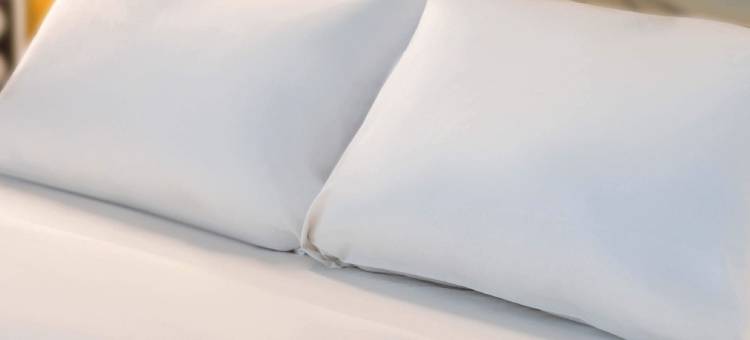 南阿维尼翁展览中心 B&B 酒店(B&B Hotel Avignon Sud Parc des Expositions)图片