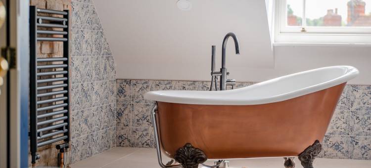 羊和企鹅(The Sheep and Penguin)图片