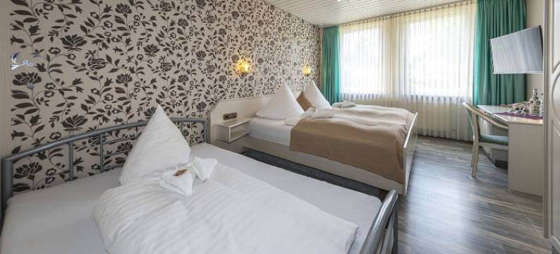 祖姆尼斯特泰乡村酒店(Landhotel Zum Niestetal)图片