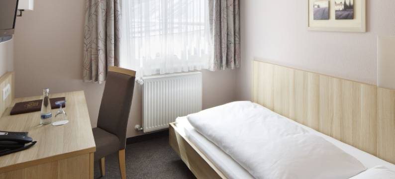 茵维特洛文弗赖堡酒店(Hotel Schwärs Löwen Freiburg)图片