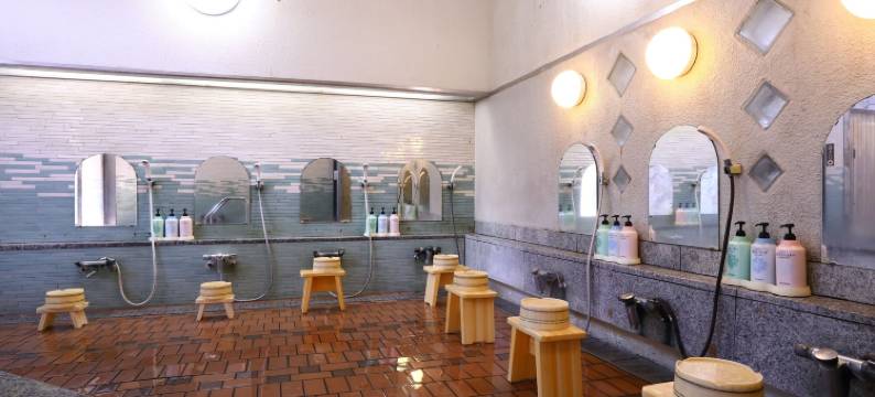 别所温泉旅之宿南条旅馆(Besshoonsen Nanjyo Ryokan)图片