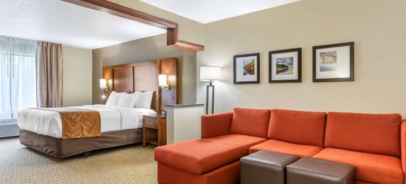 舒适套房酒店-大急流城北(Comfort Suites Grand Rapids North)图片