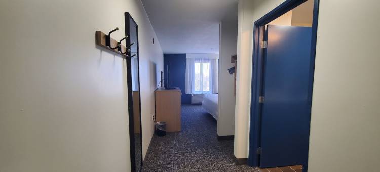 Spark by Hilton 兰辛(Spark by Hilton Lansing)图片