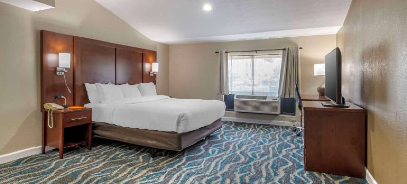 阿什维尔东-蓝岭山行车通道舒适酒店(Comfort Inn Asheville East-Blue Ridge Pkwy Access)图片