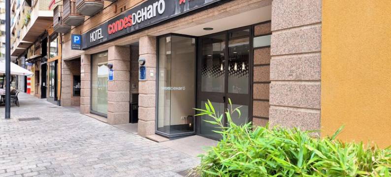 孔德斯代阿罗酒店(Hotel Condes de Haro)图片