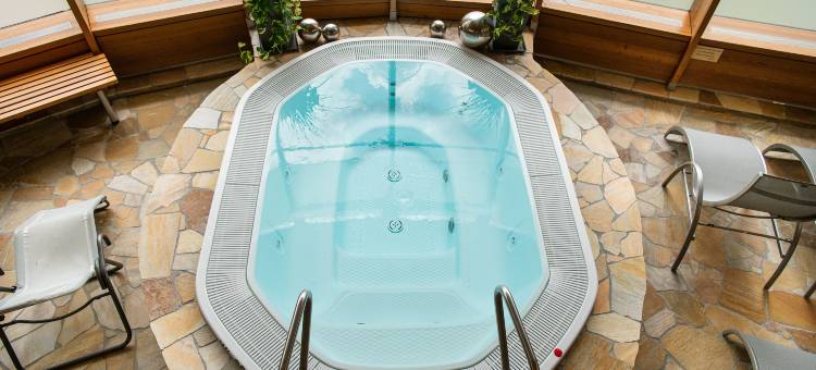 阿尔卑斯公园酒店和Carpe Solem公寓(AlpenParks Hotel & Apartment Carpe Solem)图片