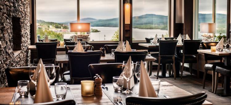 艾瑞克斯花园福尔酒店(Eriksgårdens Fjällhotell)图片
