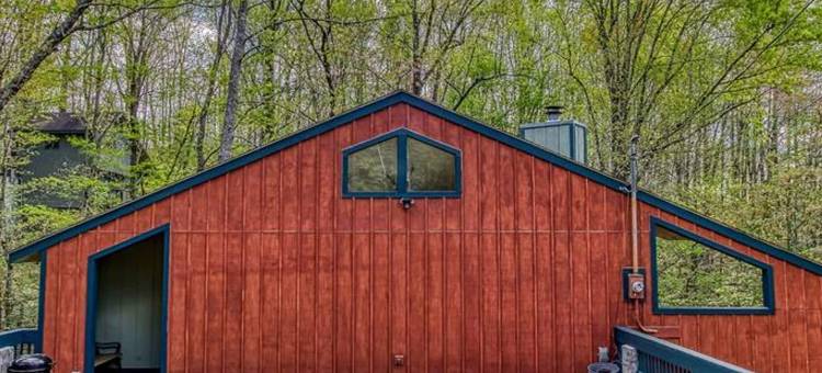 在烟雾腾腾的山中找到和平宁静与放松(Woods Child Cabin by Beyond Expectation W Hot Tub)图片