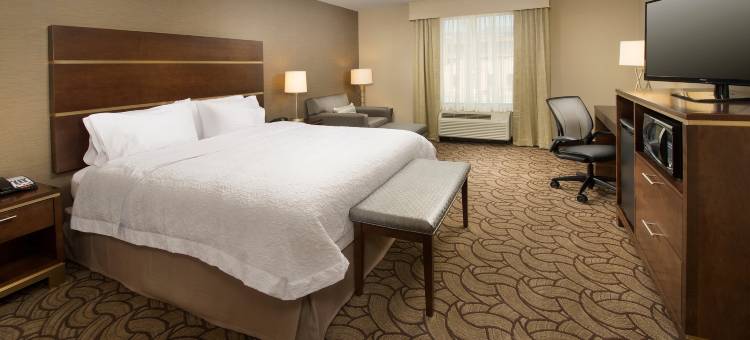 圣安东尼奥市中心/市场广场欢朋酒店及套房(Hampton Inn & Suites San Antonio-Downtown/Market Square)图片