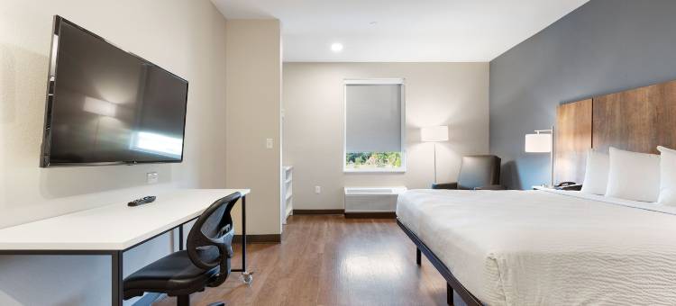 美国延期逗留套房科隆尼亚尔科隆尼尔海次堡(Extended Stay America Suites - Colonial Heights - Fort Lee)图片