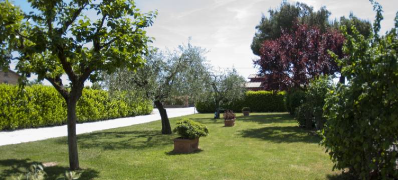 阿西西玫瑰民宿(Rosa di Assisi)图片