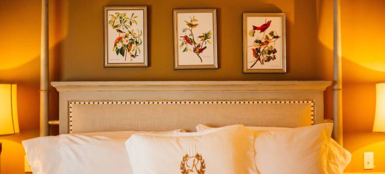 雷明顿水疗套房酒店(The Remington Suite Hotel and Spa)图片